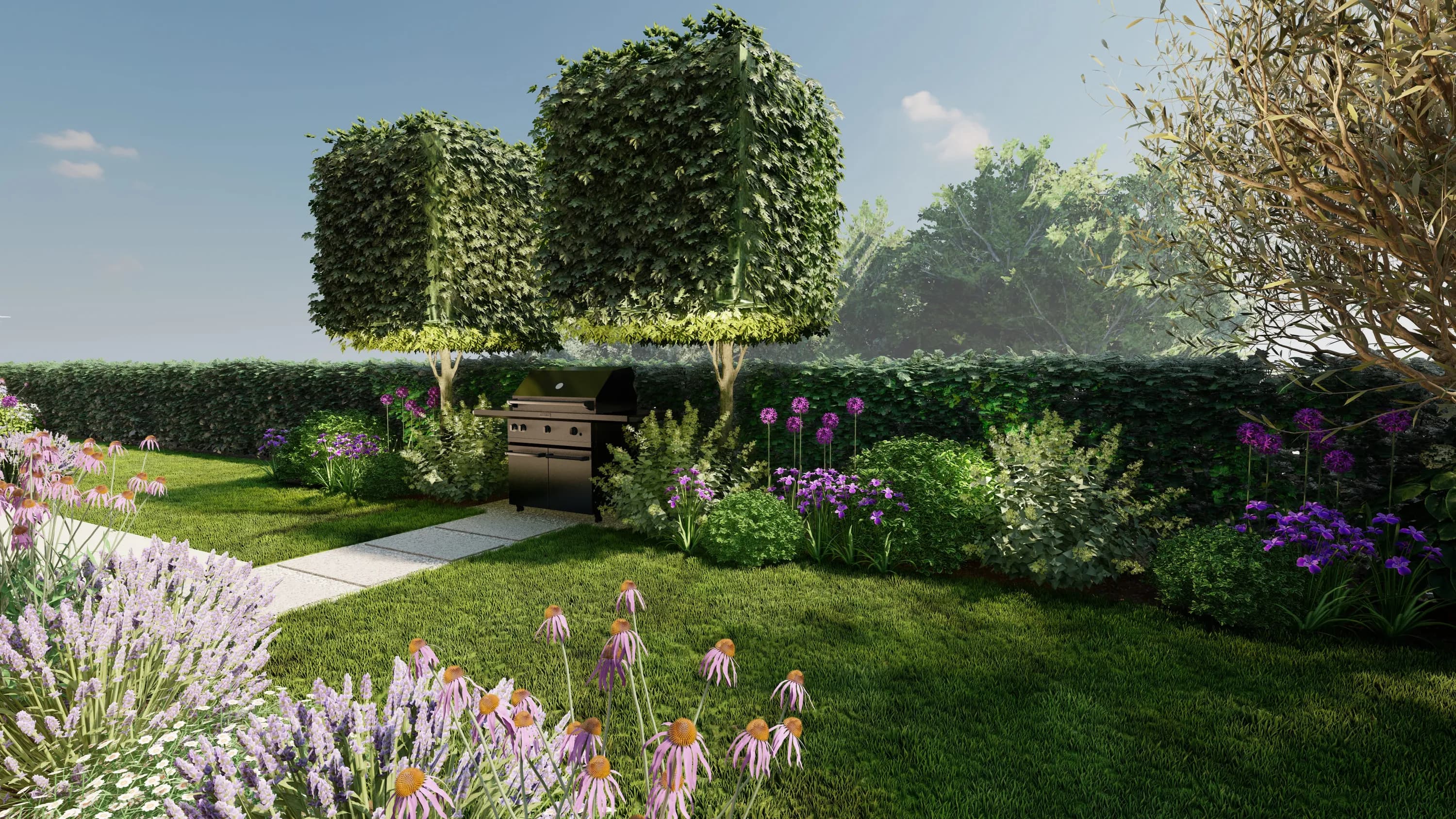 giardino residenziale, barbecue, echinacea, allium, carpini topiati