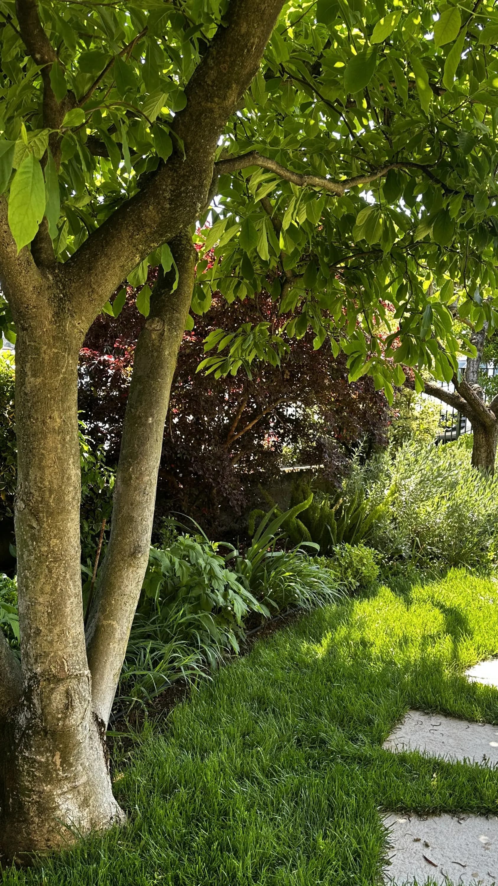 progetto-giardino-puegngo