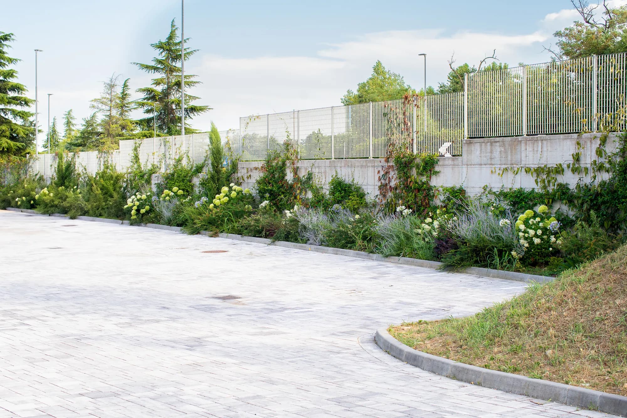 giardino-aziendale-verde