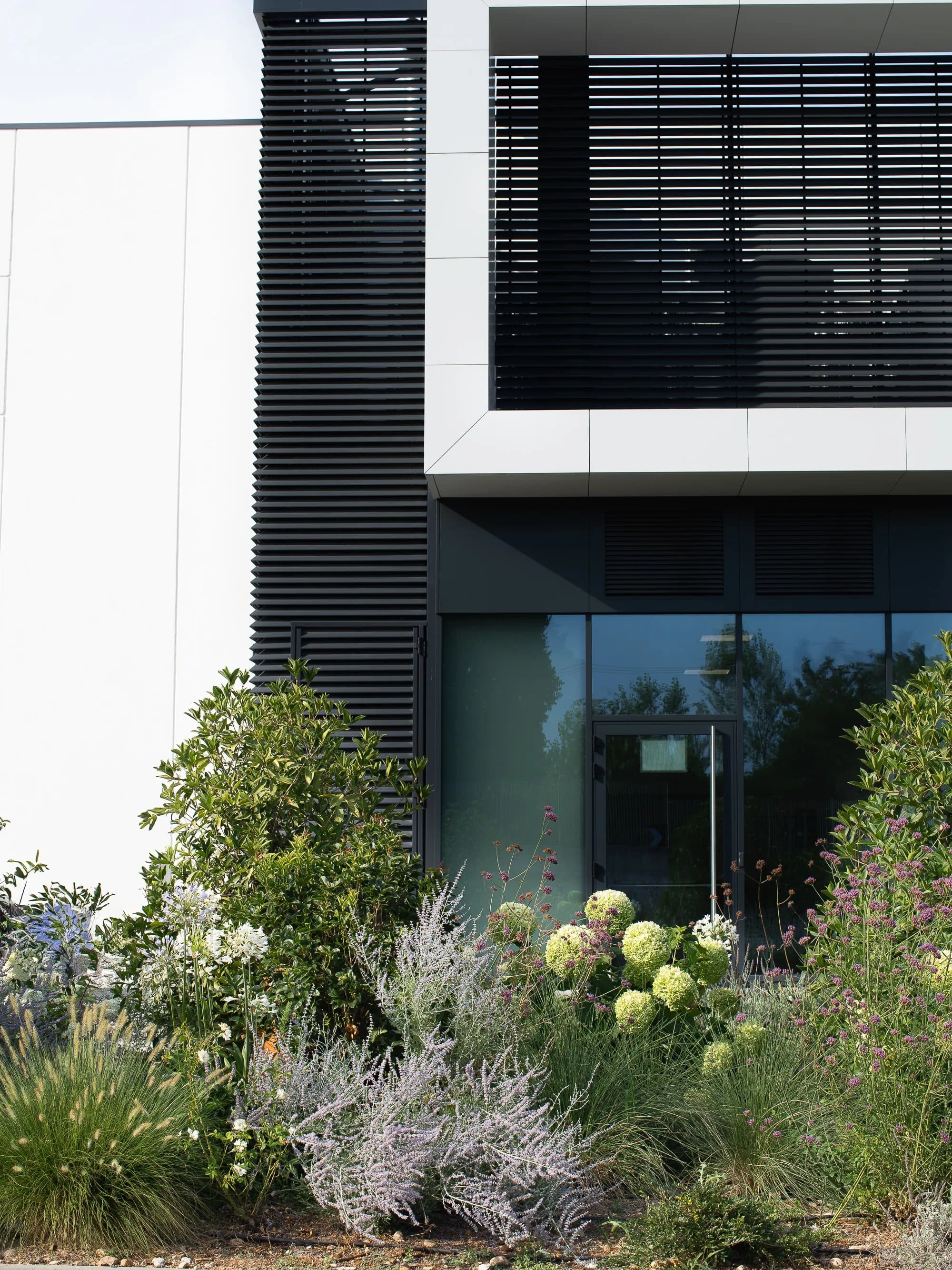 giardino-aziendale-verde