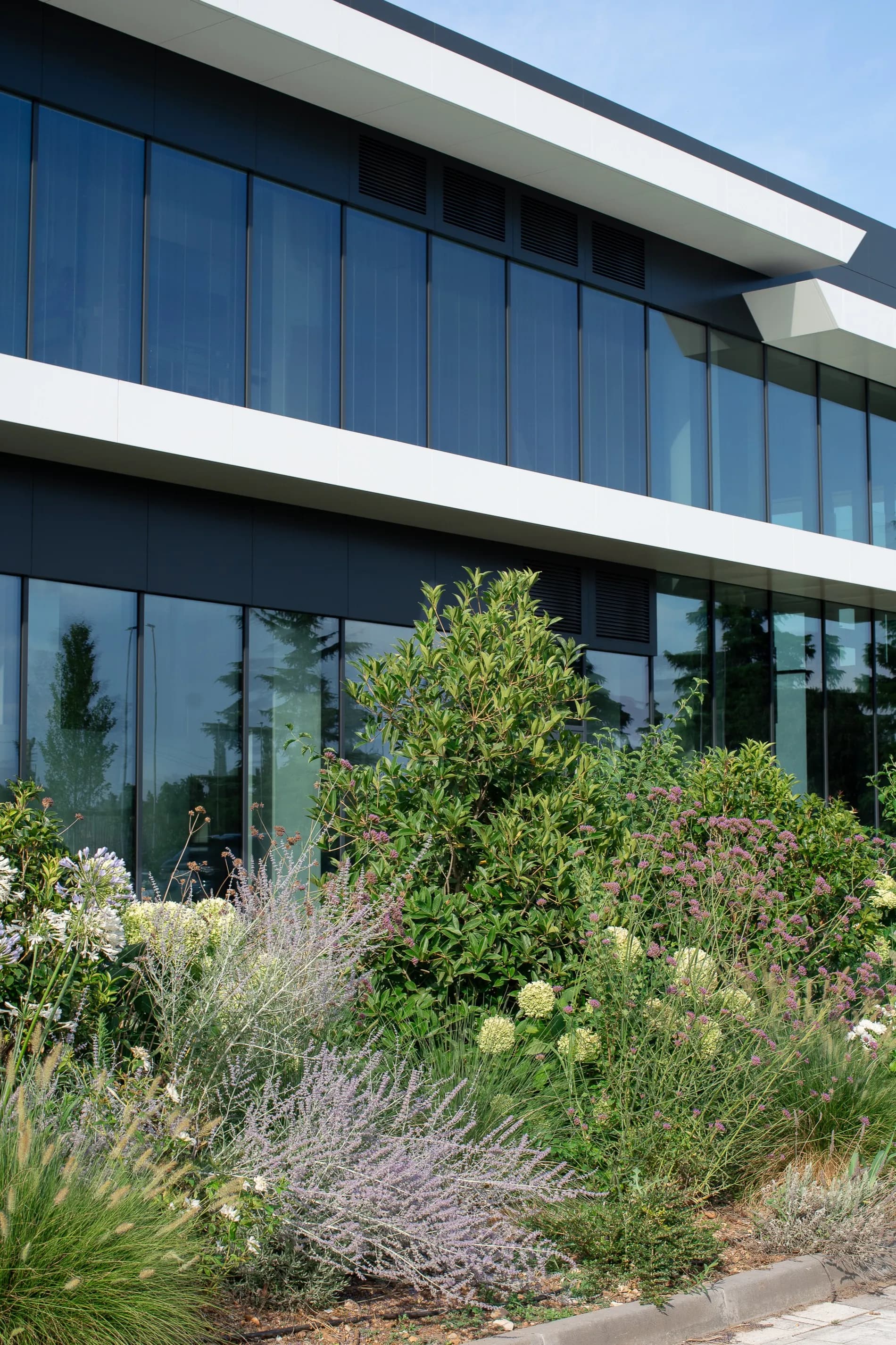 giardino-aziendale-verde