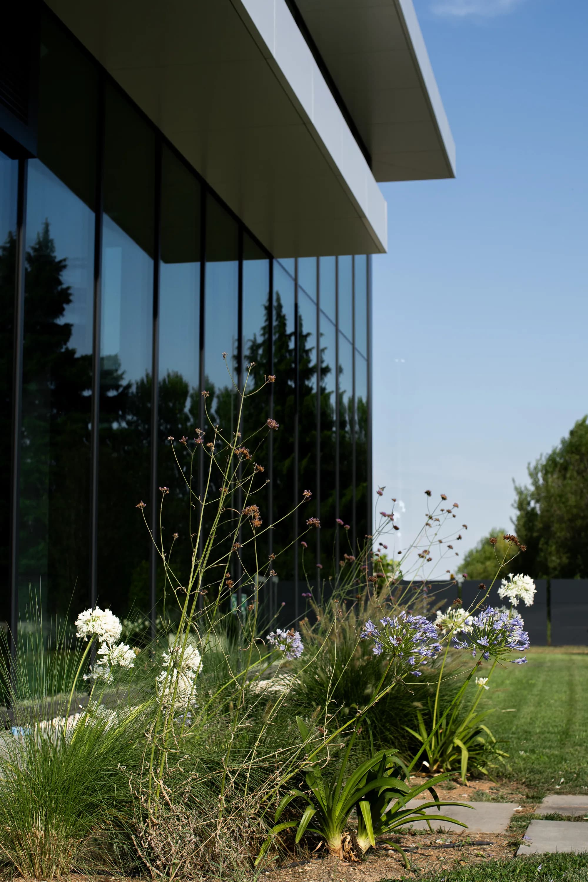 giardino-aziendale-verde