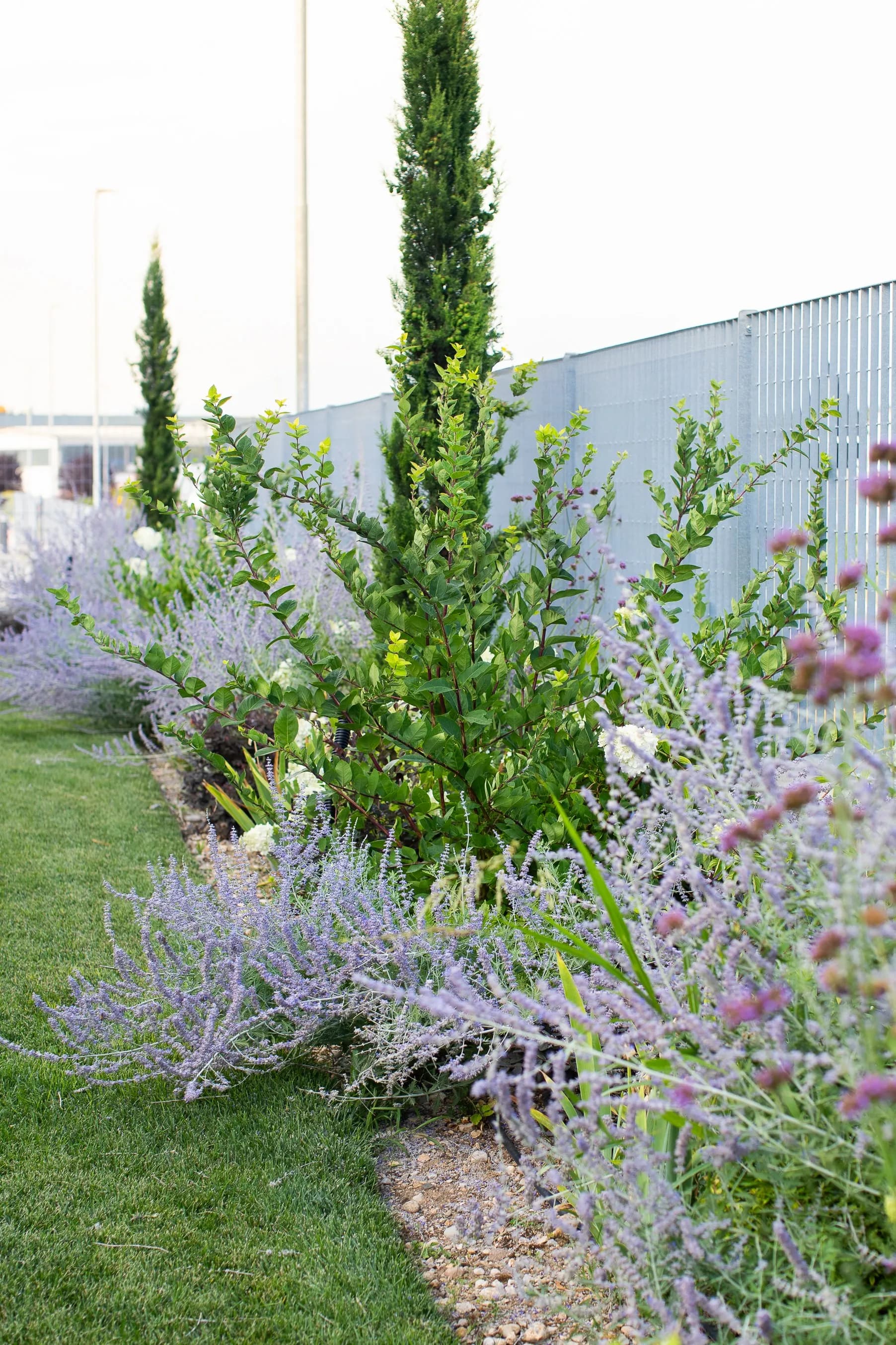 giardino-aziendale-verde