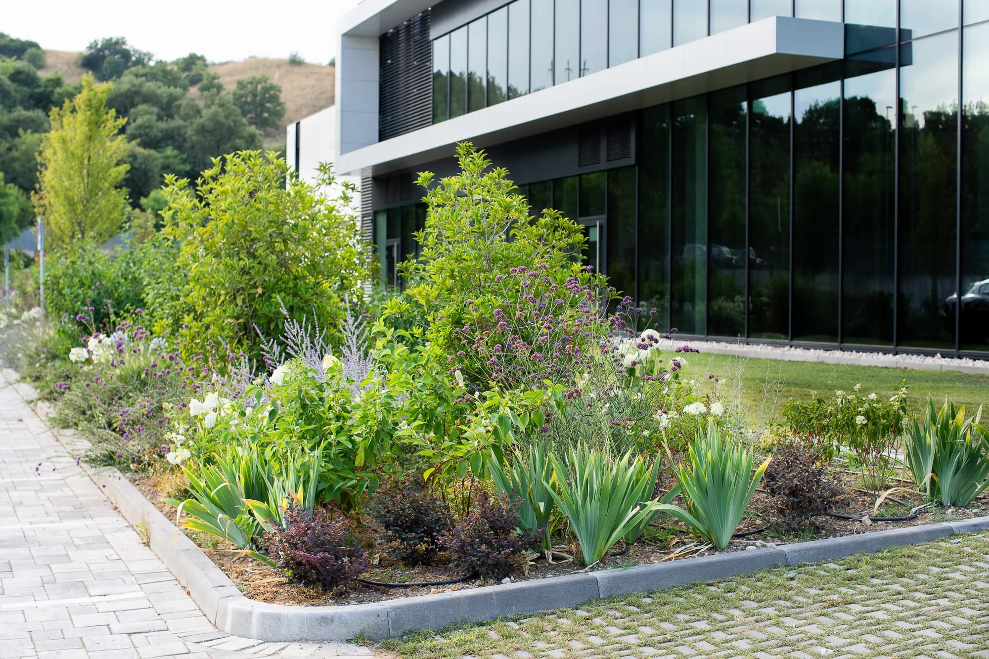 giardino-business