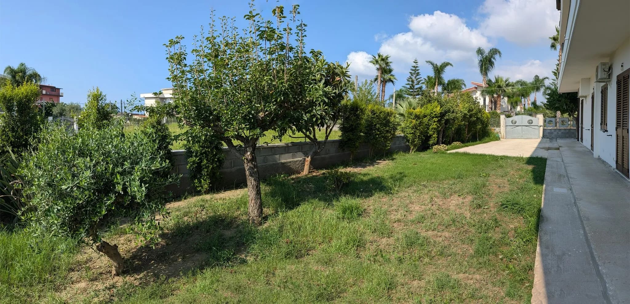 progettazione giardino mediterraneo, prima